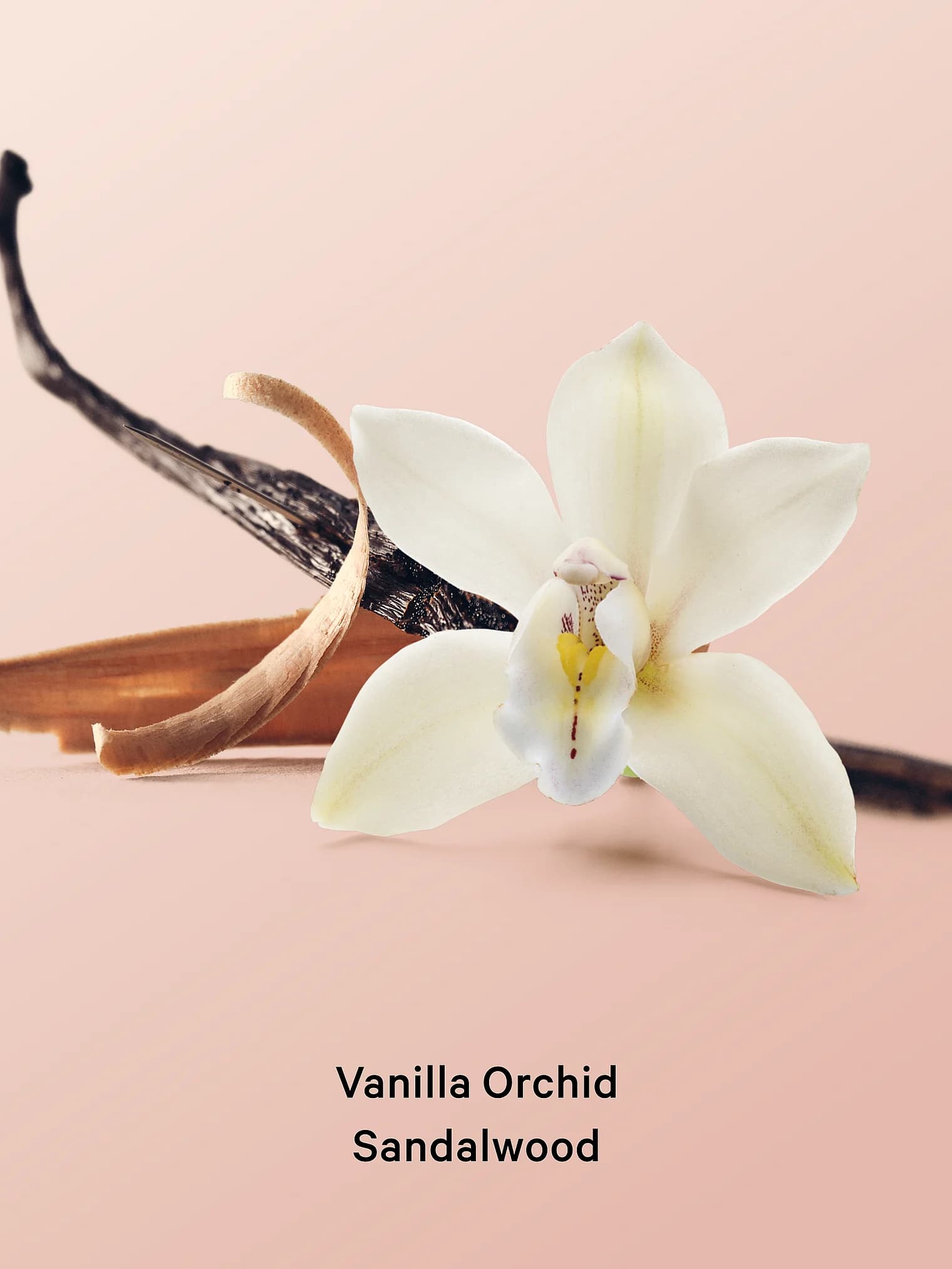 Подарункові набори Victoria's Secret Подарунковий набір Victoria's Secret Bare Vanilla Спрей + Лосьйон - мініатюра фото 2