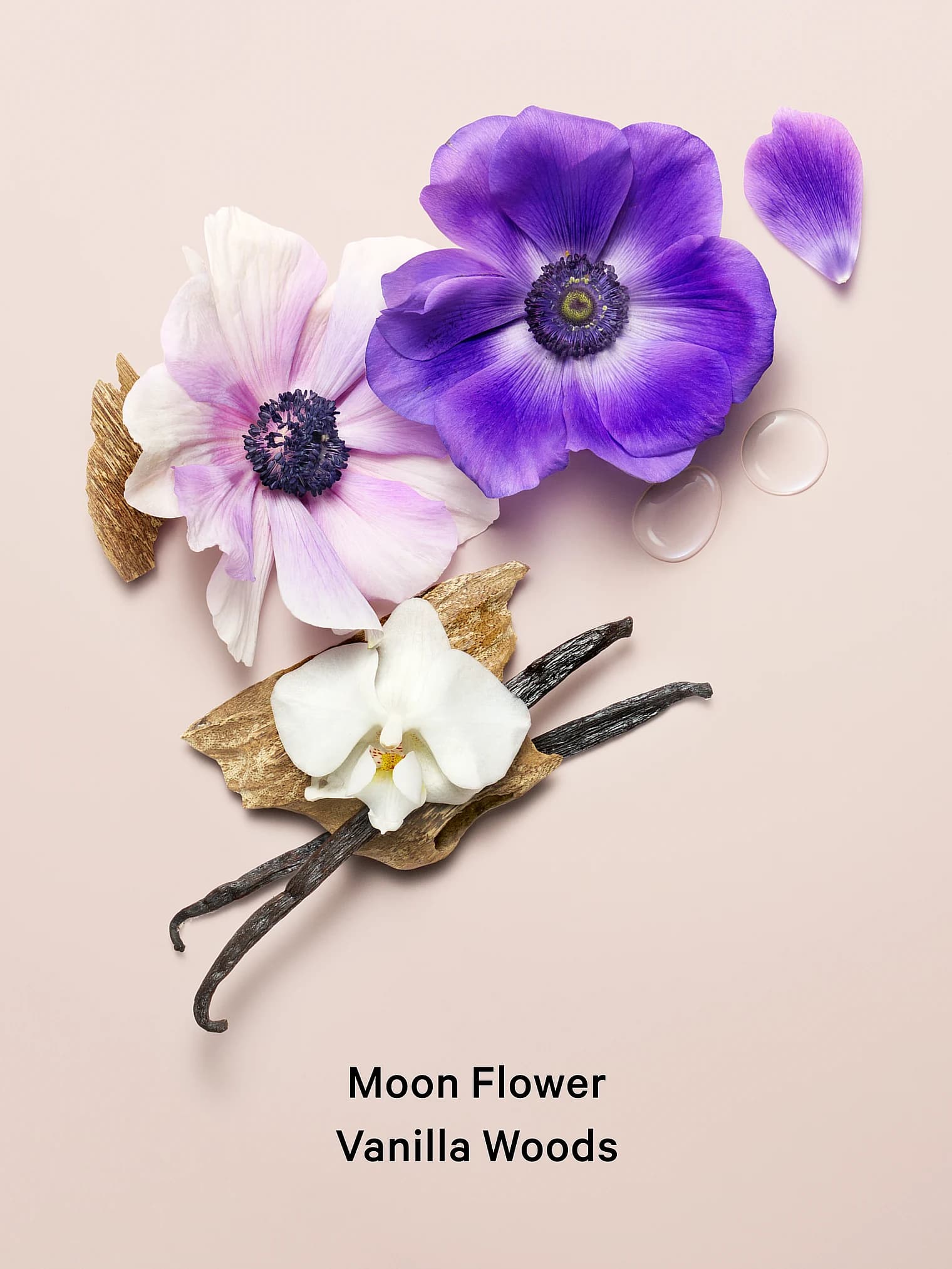 Подарункові набори Victoria's Secret Подарунковий набір Victoria's Secret Midnight Bloom Спрей та Лосьйон - мініатюра фото 2